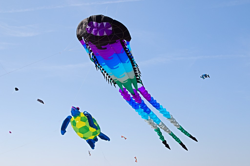 Cerfs-Volants vliegerfestival festival festiviteit evenement event berck sur mer vlieger speelgoed strand